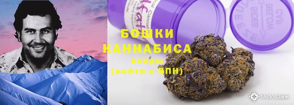 шишки Осташков