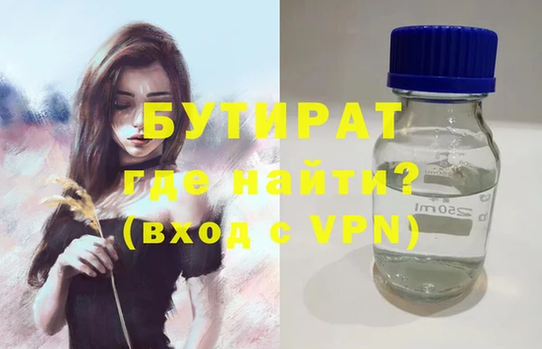 шишки Осташков