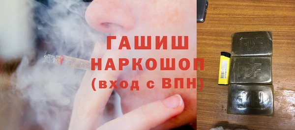 шишки Осташков