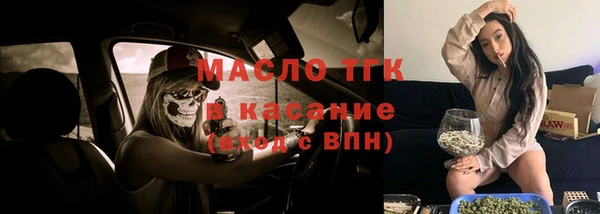 шишки Осташков