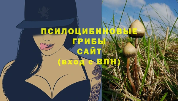 бутират Осинники
