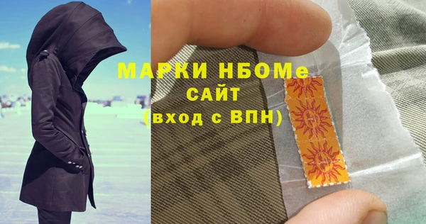 шишки Осташков