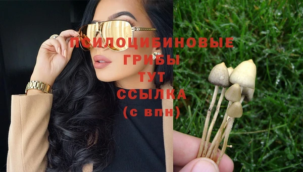 шишки Осташков