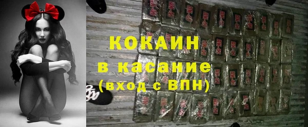 шишки Осташков
