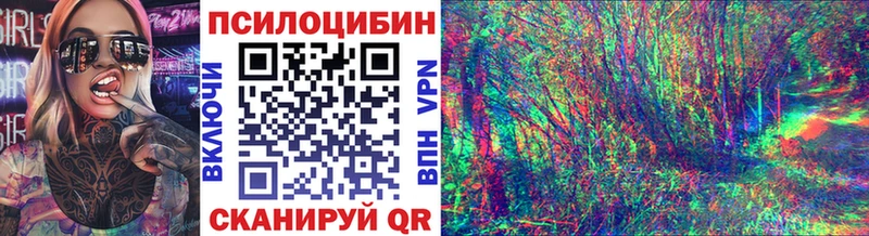 Псилоцибиновые грибы Cubensis  где можно купить наркотик  Эртиль 